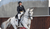 6 Reasons Why Your Horse Needs Rose-Hip Vital Equine