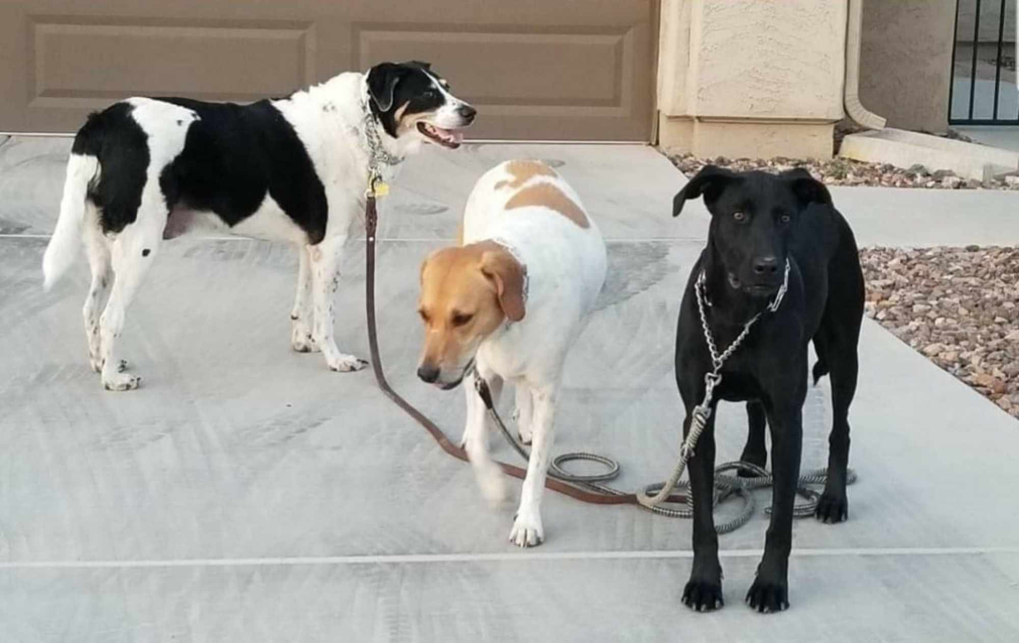 Chester, Layla & Deliela