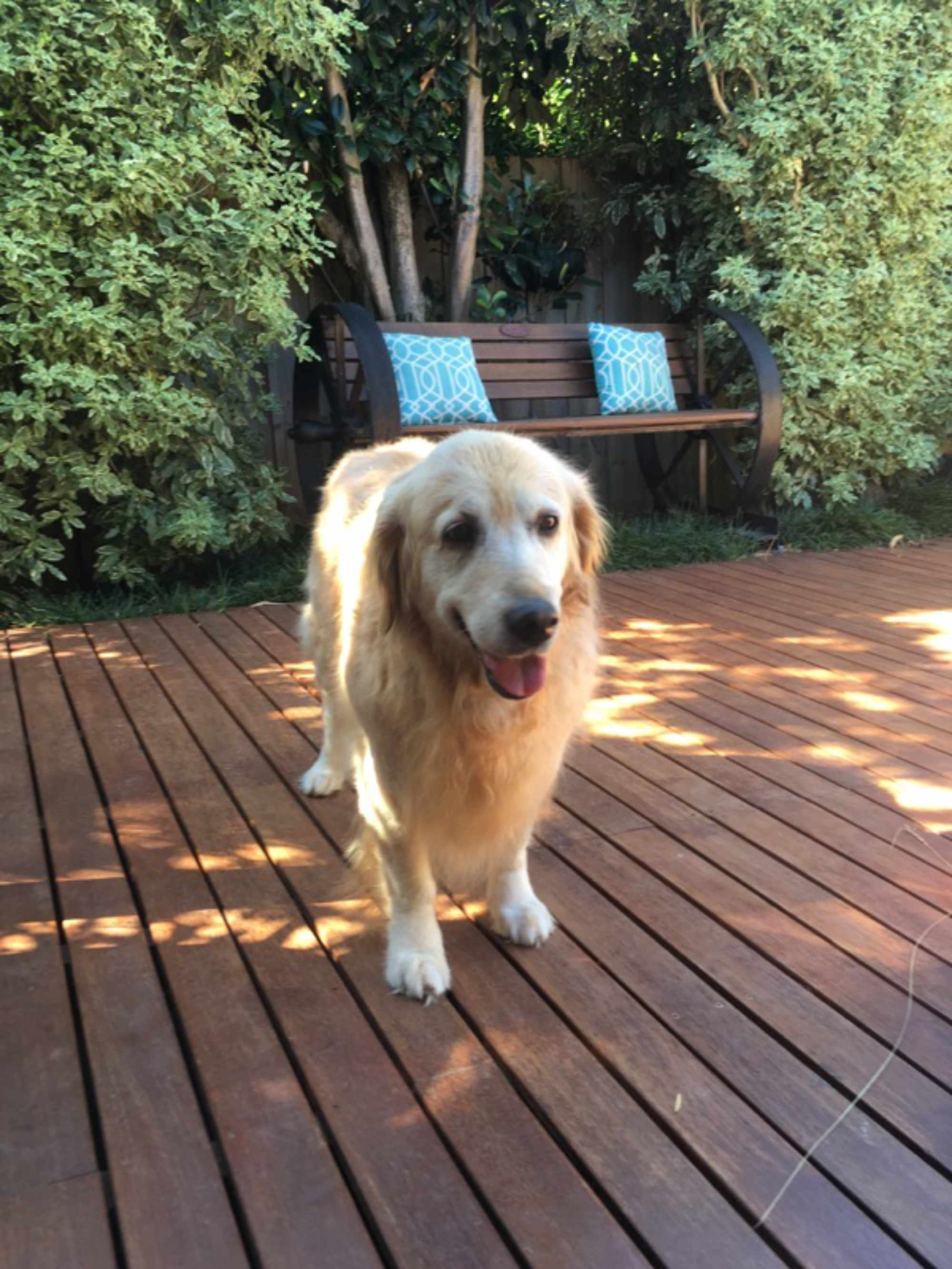 Ellie