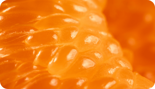 Vitamin C with Rosehips: The Natural Way to Enhance Skin Health
