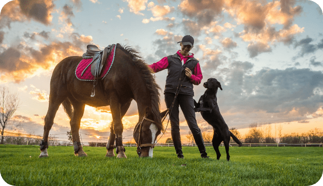 Share the Benefits of Rose-Hip Vital Equine with Your Whole Family!