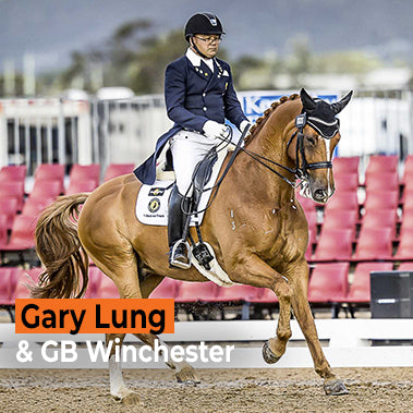 Gary Lung Rose-Hip Vital Equine