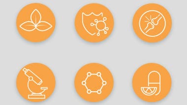 rose hip vital with gopo