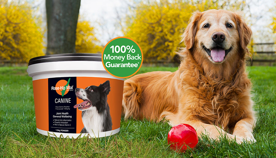 Try Rose-Hip Vital Canine 1.5kg (3.3lb) now!