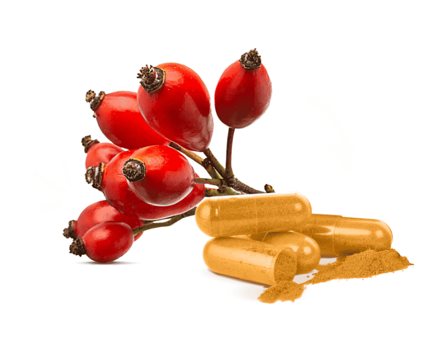 Rosehip berries with a branch on a black background, next to Rose-Hip Vital Capsules