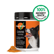 Rose-Hip Vital Canine supplement jar with a dog on the label and a money-back guarantee badge.