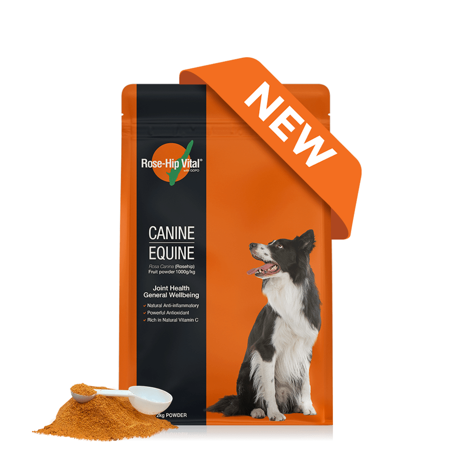 Canine Refill 2kg (4.4lb)