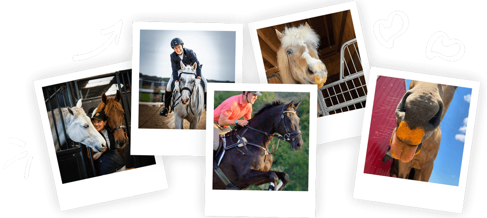 Collage of people with horses in various poses on a black background