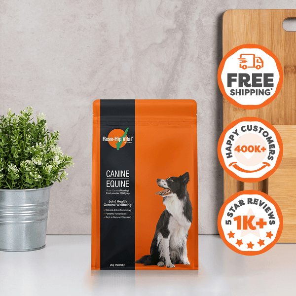 Orange and black package of Rose Hip Vita with a dog on it, next to a plant and cutting board.