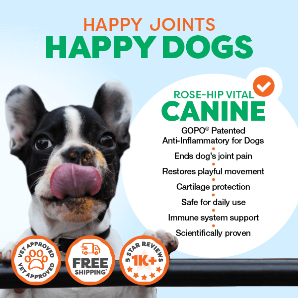 Advertisement for 'Happy Joints Happy Dogs' canine joint supplement Rose-Hip Vital with a dog licking its lips on a light blue background.