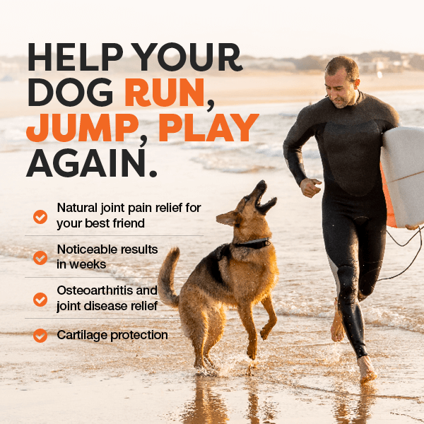 Man running with a dog on a beach, promoting natural joint pain relief for dogs.