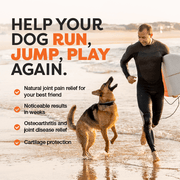 Man running with a dog on a beach, promoting natural joint pain relief for dogs.