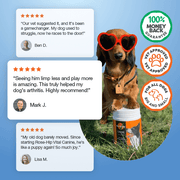 Dog wearing sunglasses with a product container, surrounded by customer testimonials and brand logos on a blue background.