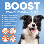 Dog with text and icons promoting immune system support and vitality supplement Rose-Hip Vital on a blue background