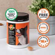 Rose-Hip Vital supplement jar for dogs with promotional icons on a neutral background