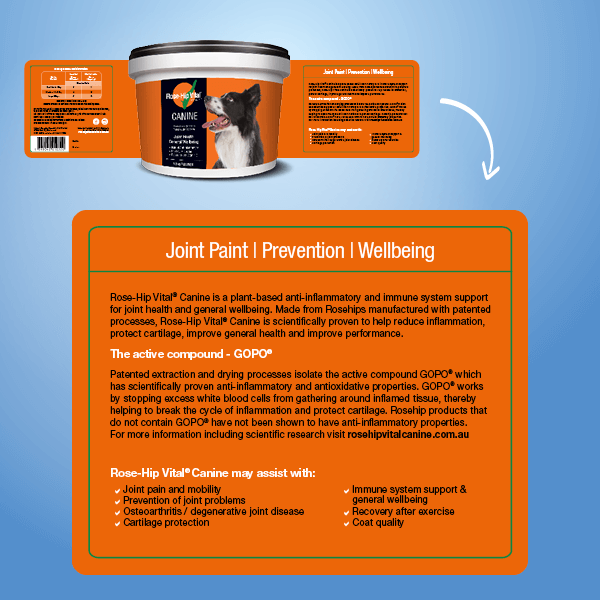 Rose-Hip Vital Canine supplement with label on a blue background