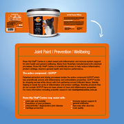 Rose-Hip Vital Canine supplement with label on a blue background