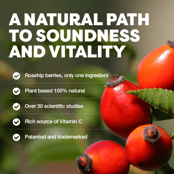 Rosehip berries with text about a natural path to soundness and vitality.