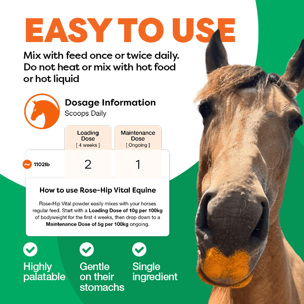 Horse with dosage information for Rose-Hip Vital Equine supplement on a green and white background