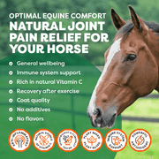 Horse with natural joint pain relief Rose-Hip Vital Equine advertisement featuring text and icons.