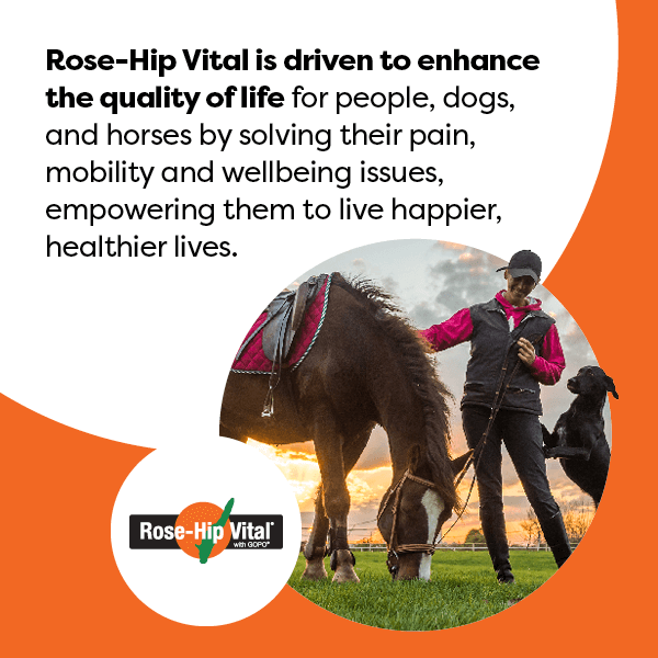 Person with a horse and dog in a field, Rose-Hip Vital brand logo.