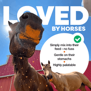 Horses with a product labeled 'LOVED BY HORSES' against a blue sky enjoying horse joint pain support