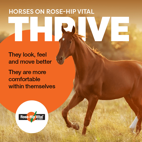 Horse in a field with 'Thrive' text and Rose-Hip Vital logo