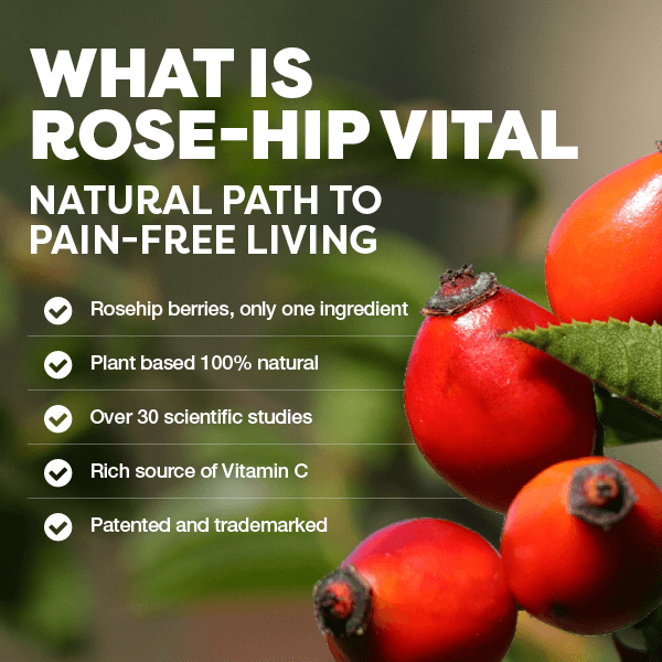 Rosehip berries with text about Rose-Hip Vital product on a blurred natural background