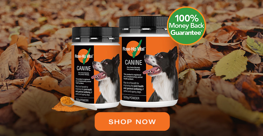 Rose-Hip Vital Canine for your dog | Shop Now