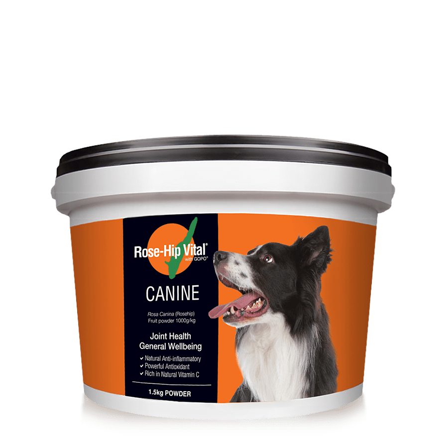 Rose-Hip Vital Canine 1.5kg (3.3lb) | Joint Health & General Wellbeing | For your dog