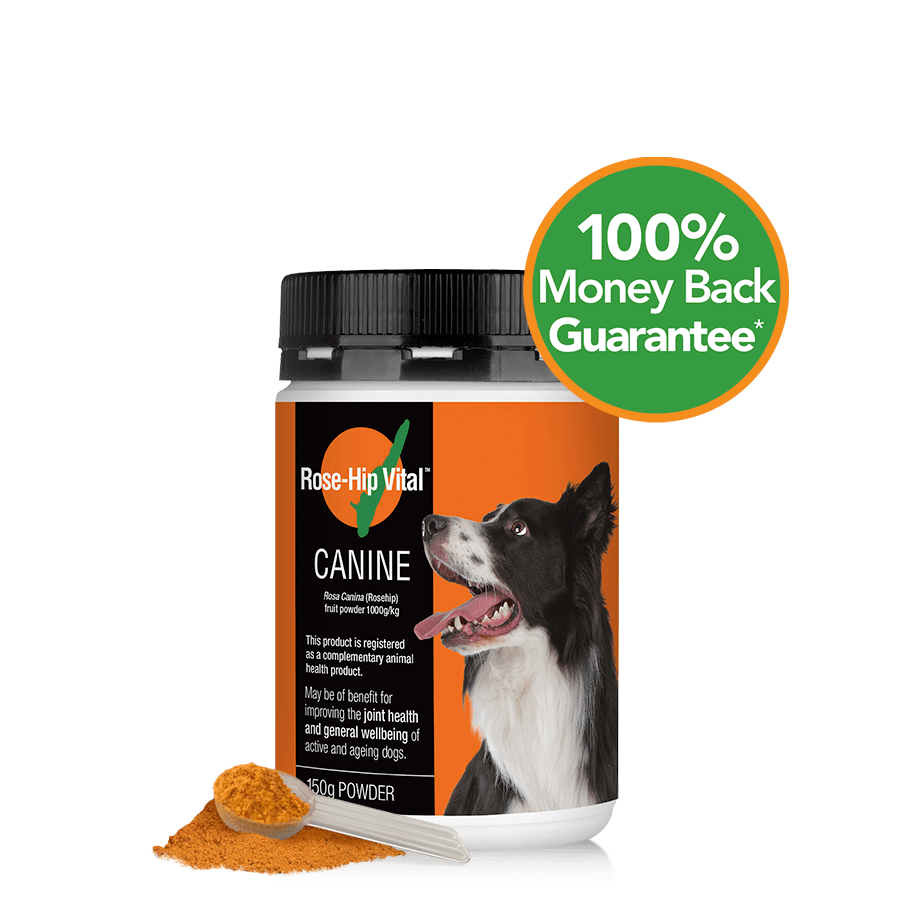 Canine 150g (5.2oz)