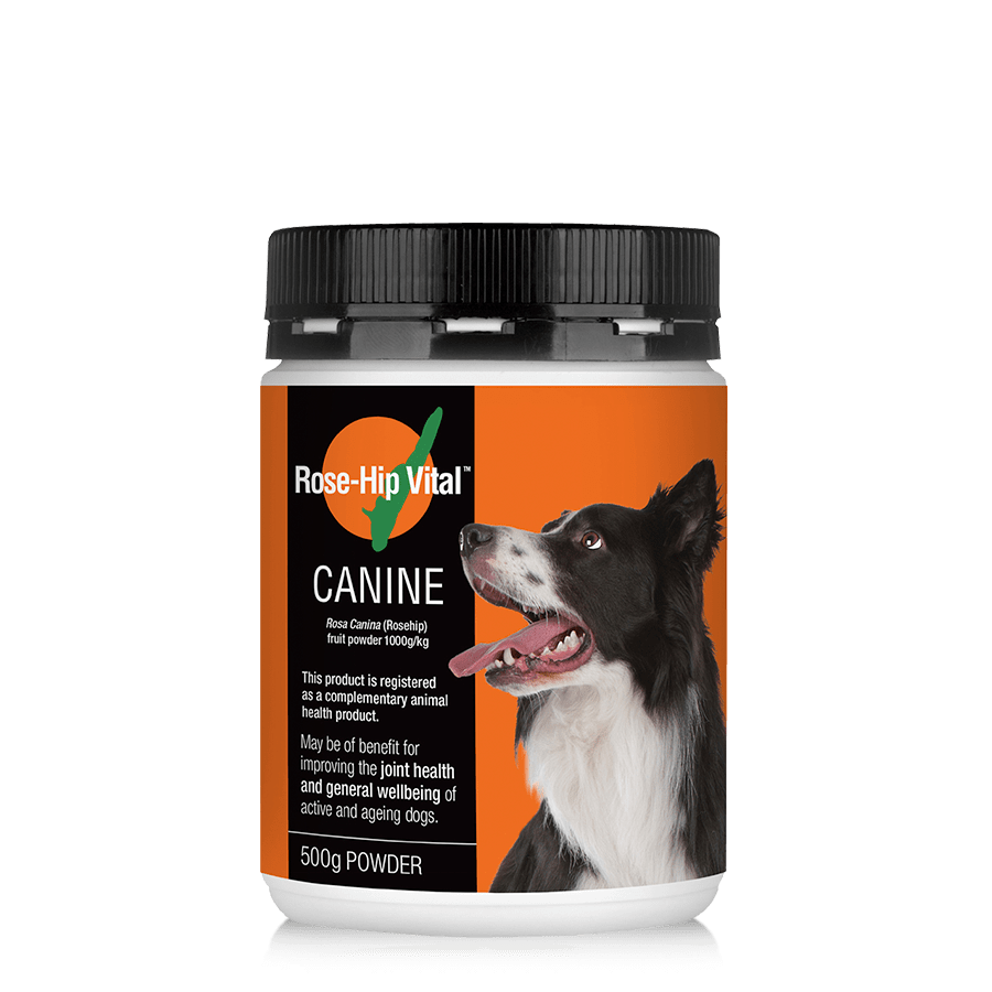 Hip and joint top powder for dogs