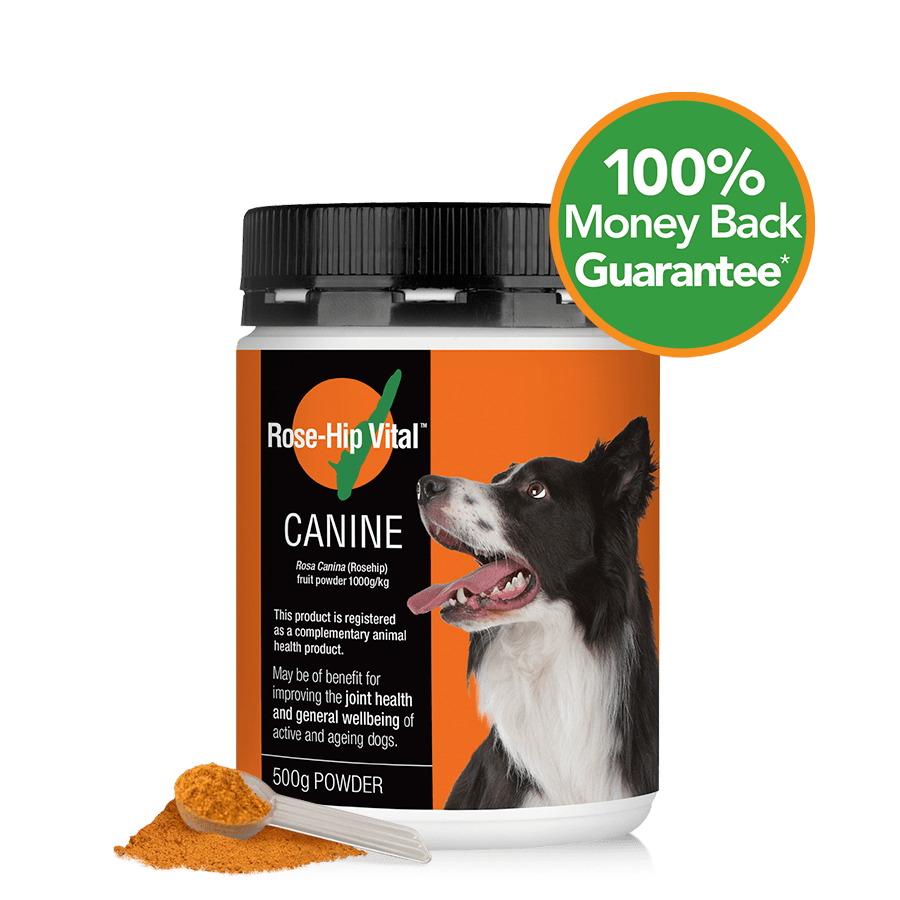 Rose-Hip Vital Canine 500g (1.1lb) | Joint Health &amp; General Wellbeing | For your dog